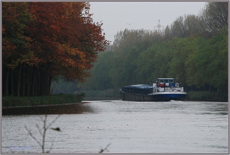 Herfstkleuren bij  De Hork.JPG - Herfstkleuren bij  De Hork